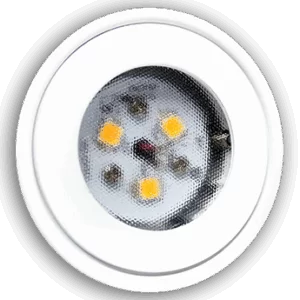 LED White