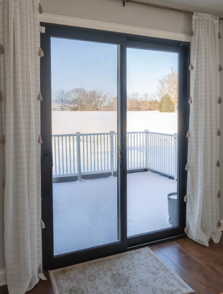 Signature Series Door True Black Interior during winter